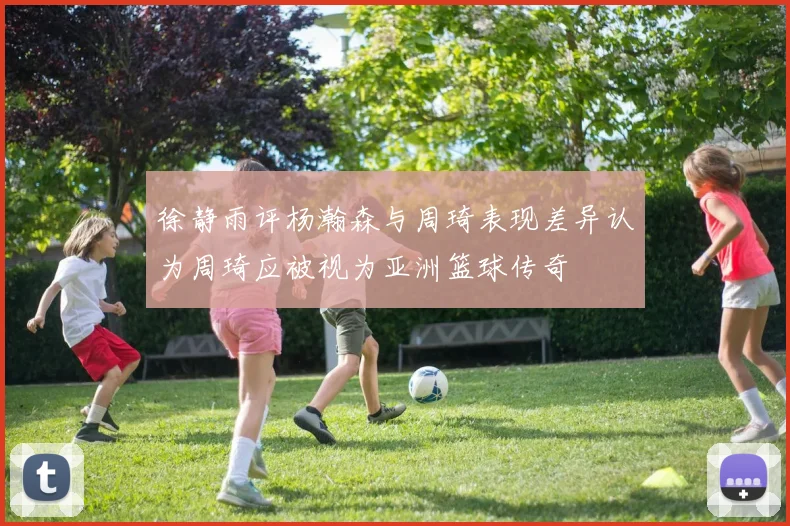 徐静雨评杨瀚森与周琦表现差异认为周琦应被视为亚洲篮球传奇
