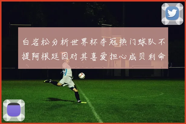 白岩松分析世界杯夺冠热门球队不提阿根廷因对其喜爱担心成贝利命运
